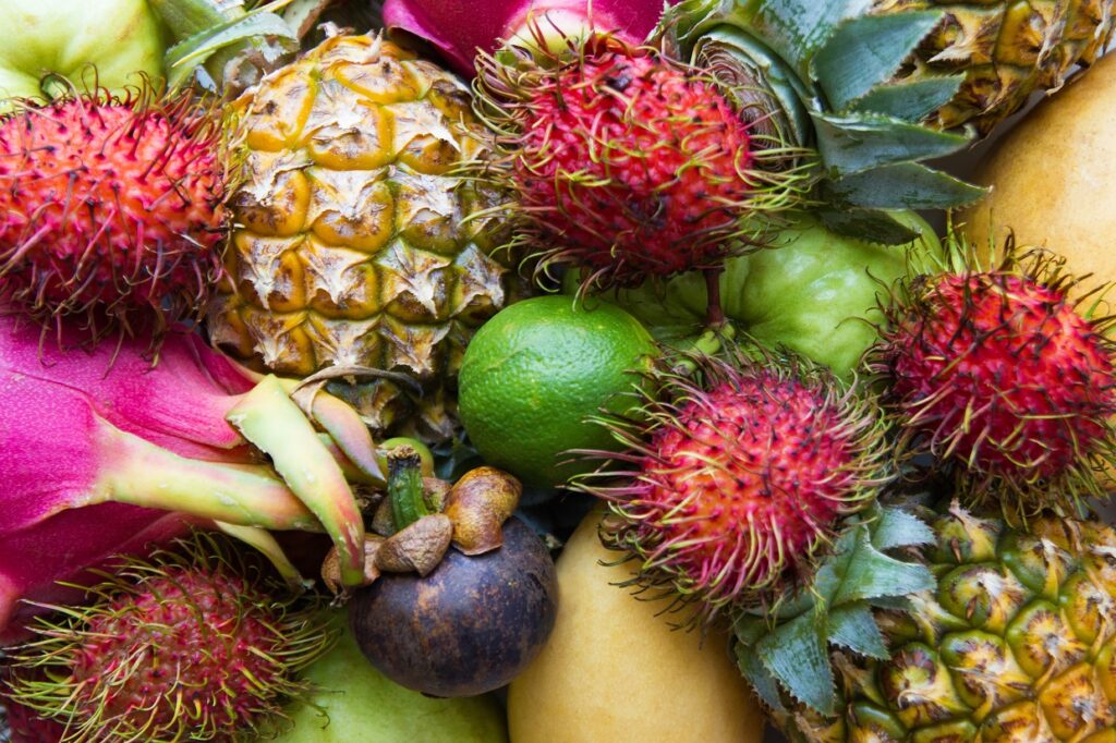 Les bienfaits des fruits et légumes frais dans l’alimentation quotidienne