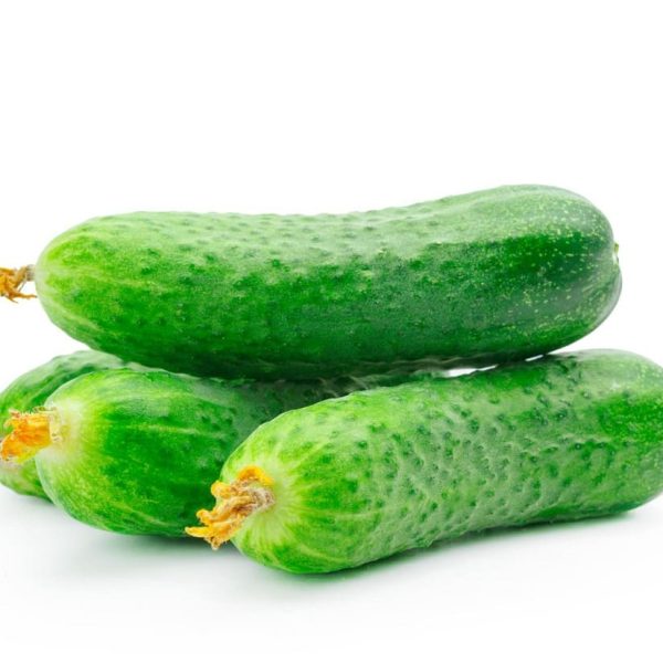 131293